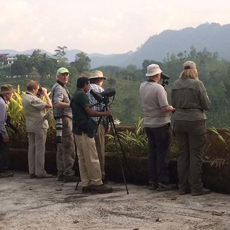 Rainforest Edge Weddagala Zewnętrze zdjęcie